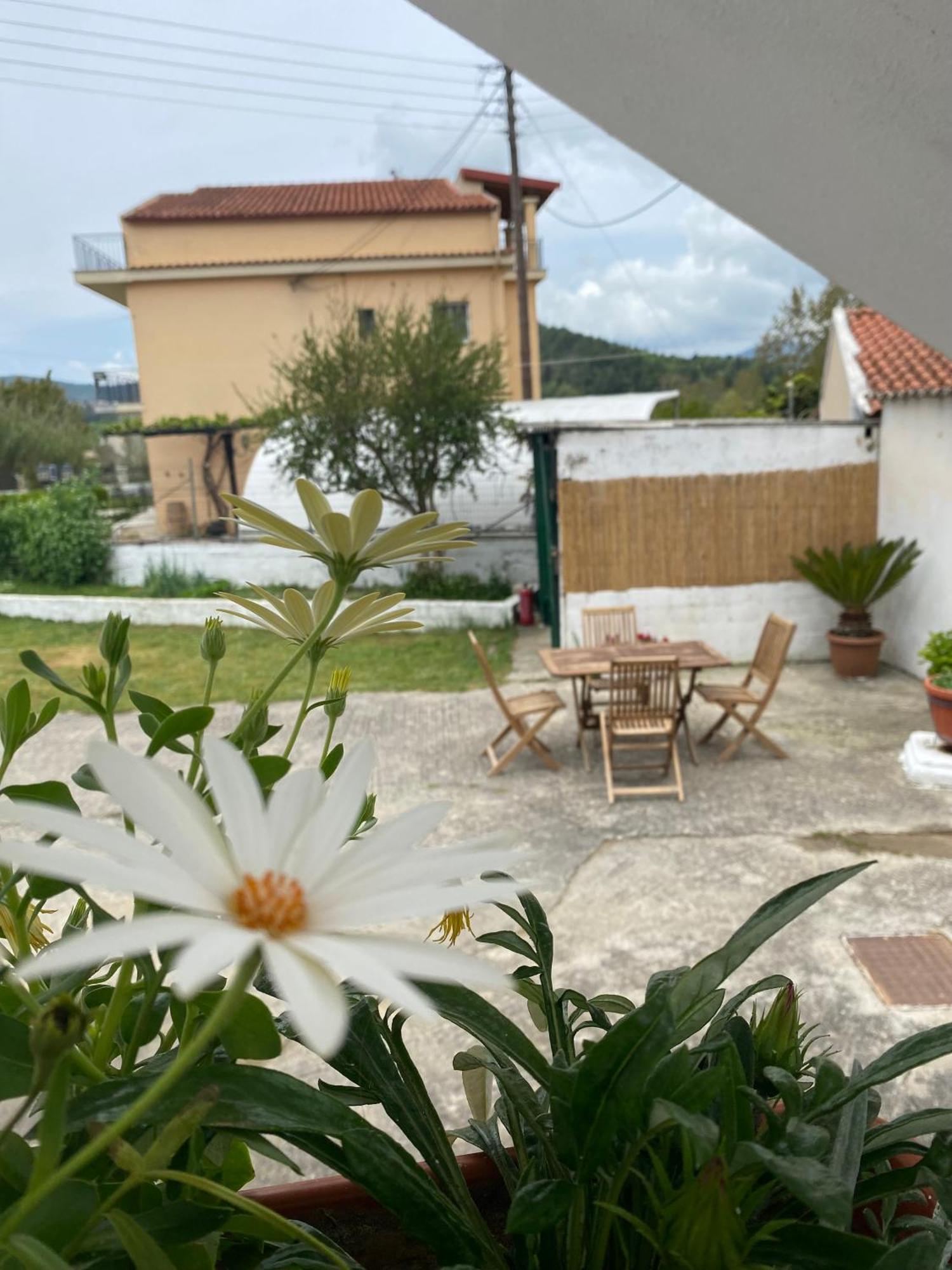 Navy Apartment With Mountain View &Private Parking Vátos 외부 사진